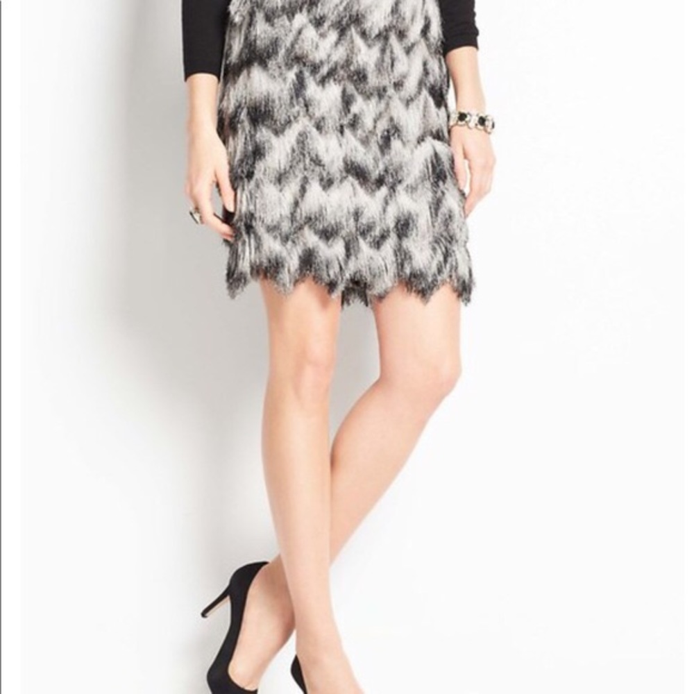 Ann taylor feather fringed skirt, 4 NWT - Picture 1 of 4